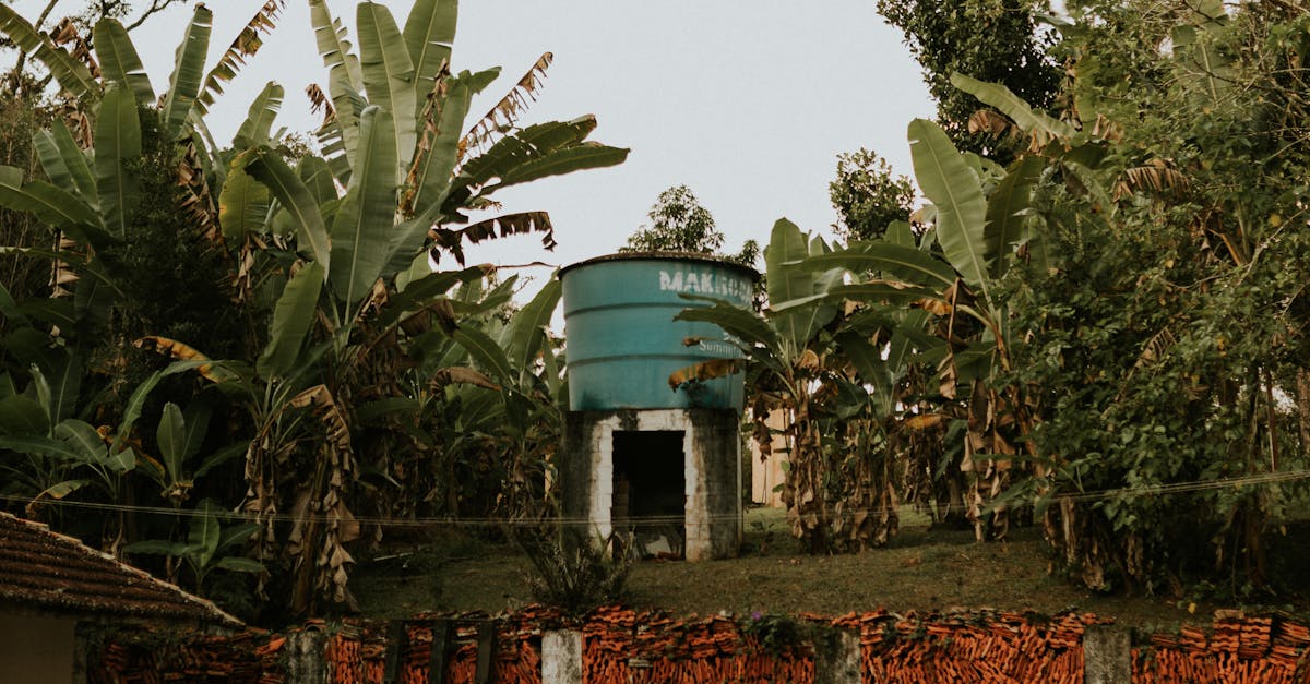 How can I get rid of old fence panels?