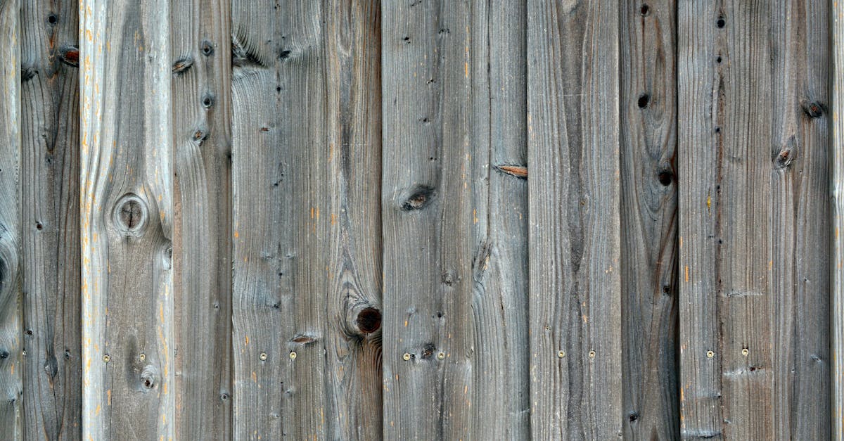 How do you get green algae off fence panels?