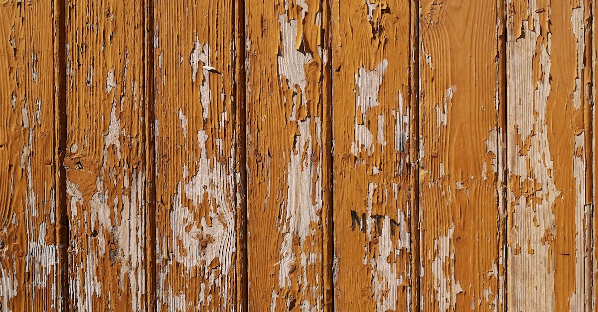 What's the best way to paint fence panels?